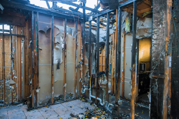 Professional Smoke Damage Removal technician working in Addison, WV